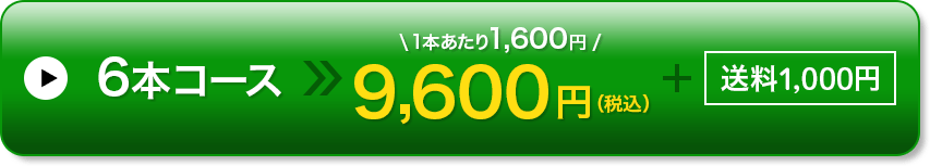 6本コース 9,600円（税込）+送料800円