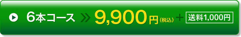 6本コース 9,900円