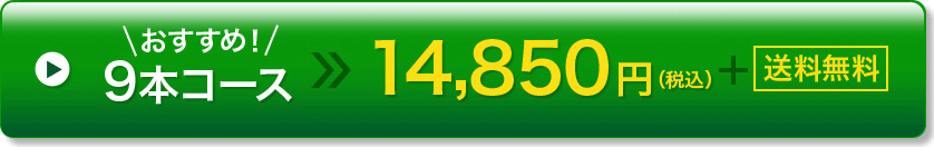 9本コース 14,850円